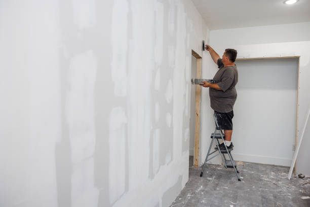 Best Basement Mold Removal  in Manchester, GA