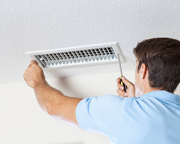 Best Industrial Mold Remediation  in Manchester, GA