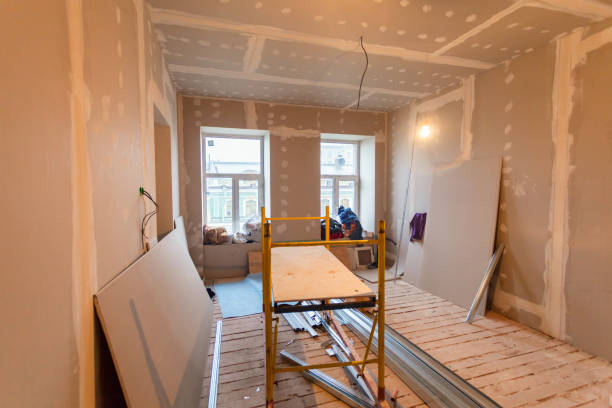 Best Black Mold Removal  in Manchester, GA